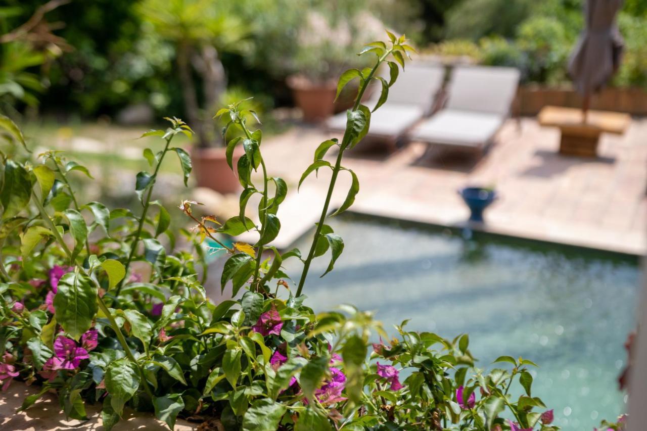 Le Mazet De Tourrettes Bed & Breakfast Ngoại thất bức ảnh