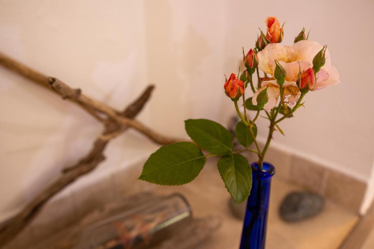 Le Mazet De Tourrettes Bed & Breakfast Ngoại thất bức ảnh