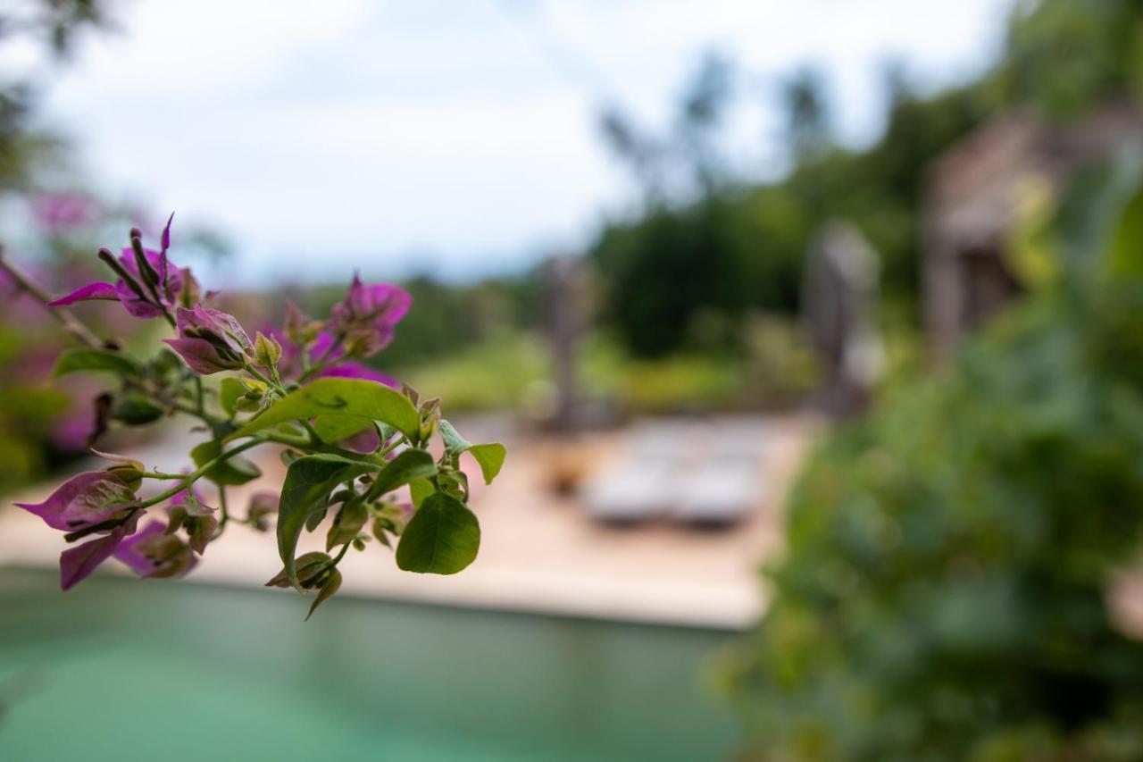 Le Mazet De Tourrettes Bed & Breakfast Ngoại thất bức ảnh
